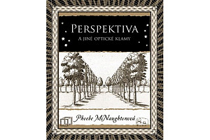 Perspektiva a jiné optické klamy