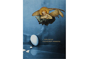 Plochostropý hranostaj