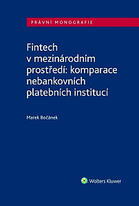 Fintech v mezinárodním prostředí