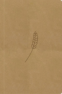 Bible, překlad 21. století (medová) - kapesní