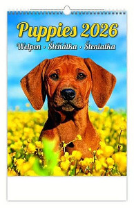 Štěňátka 2026 - nástěnný kalendář