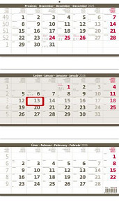 Tříměsíční kalendář skládaný šedý 2026 - nástěnný kalendář