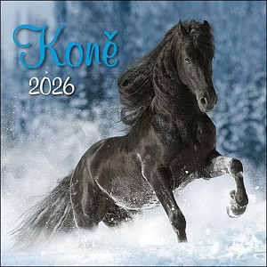 Koně 2026 - nástěnný kalendář