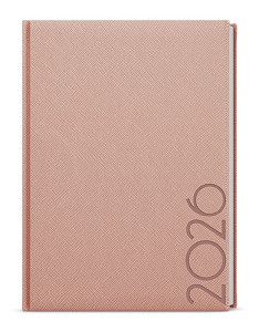 Denní diář 2026 David Tora A5 pudrová