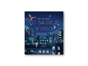 Čo sa deje v noci
