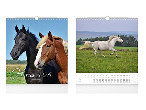 Horses 2026 - nástěnný kalendář