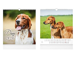 Dogs 2026 - nástěnný kalendář