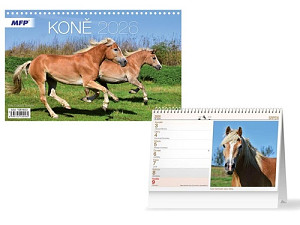 Koně kalendář 2026 - stolní kalendář