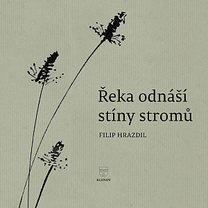 Řeka odnáší stíny stromů