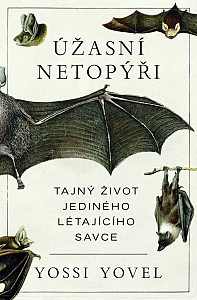 Úžasní netopýři