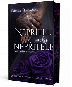 Nepřítel mého nepřítele