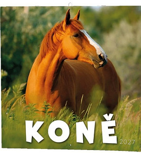 Koně 2027 - nástěnný kalendář