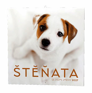 Štěňata 2027 - nástěnný kalendář
