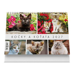 Kočky a koťata 2027 - Stolní kalendář