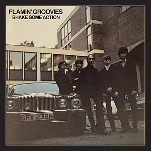 2CD Flamin´ Groovies: Shake Some Action
