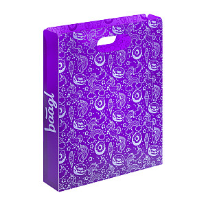 BAAGL Plastové desky na školní sešity Jednorožec