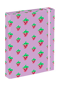 BAAGL Desky na školní sešity A5 Lavender