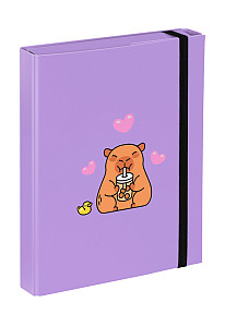 BAAGL Desky na školní sešity A5 Kapybara