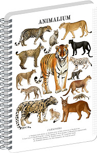 Spirálový blok Animalium - Kočkovité šelmy, čtverečkovaný, A4