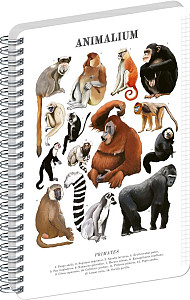Spirálový blok Animalium - Primáti, čtverečkovaný, A5