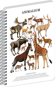 Spirálový blok Animalium - Sudokopytníci, čistý, A4
