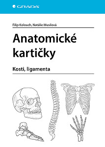 Anatomické kartičky