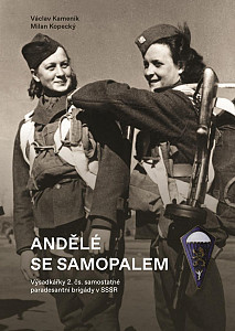 Andělé se samopalem