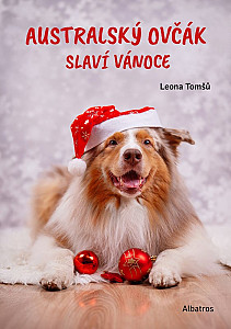 Australský ovčák slaví Vánoce