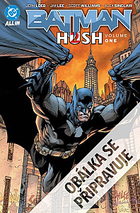 Batman - Ticho 2, kniha první