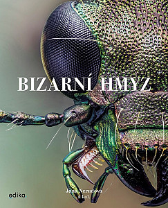 Bizarní hmyz
