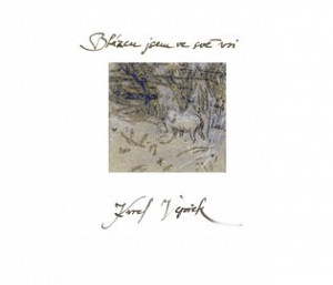 Blázen jsem ve své vsi