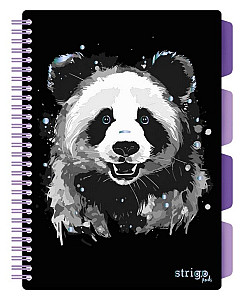 Blok SP B5, 100l, 80g, linka - Panda