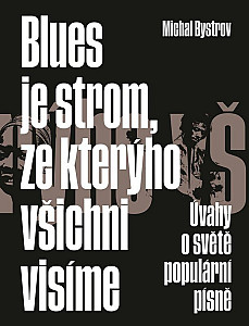 Blues je strom, ze kterýho všichni visíme - Úvahy o světě populární písně