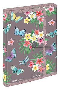 Box na spisy A4 4cm Ladylike - Motýlci