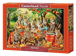 Castorland Puzzle Cat Family Reunion 3000 dílků