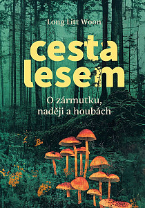 Cesta lesem
