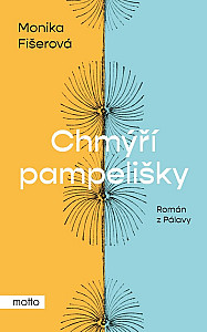 Chmýří pampelišky