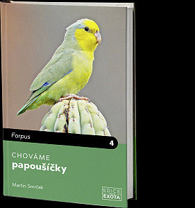 Chováme papoušíčky