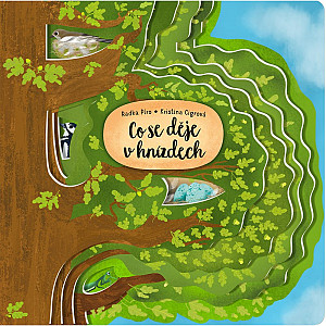 Co se děje v hnízdech