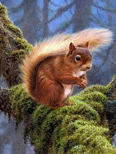 Diamantový obrázek - Veverka v lese 30x40 cm