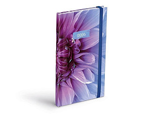 Diář 2026 T806 Lamino 1 s gumkou 90x170mm