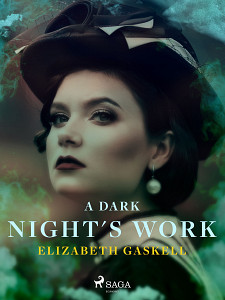 E-kniha A Dark Night's Work