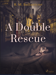 E-kniha A Double Rescue