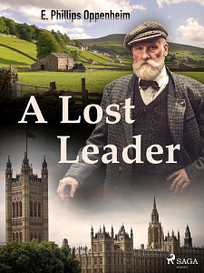 E-kniha A Lost Leader
