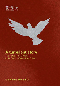 E-kniha A turbulent story