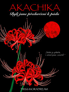 E-kniha Akachika