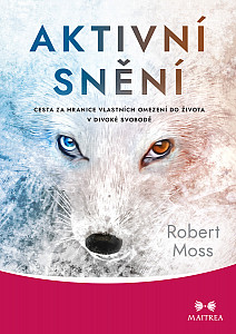 E-kniha Aktivní snění