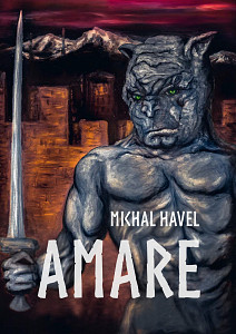 E-kniha Amare