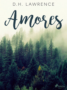 E-kniha Amores