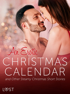 E-kniha An Erotic Christmas Calendar and Other Steamy Christmas Short Stories